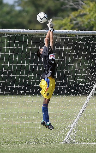 最好回报 最好回报