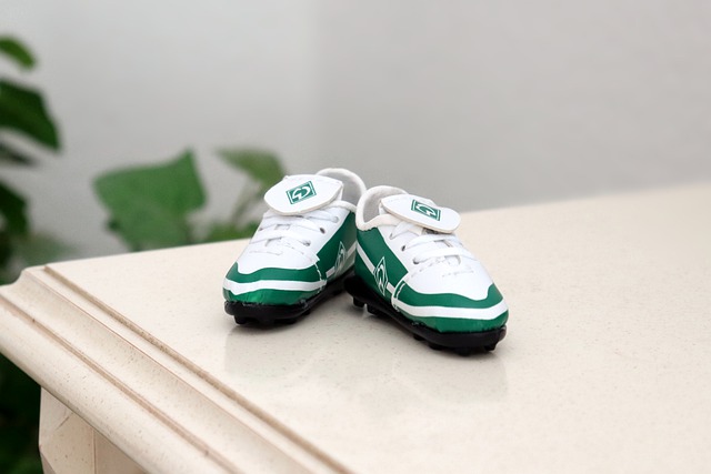 速度与进攻 速度与进攻