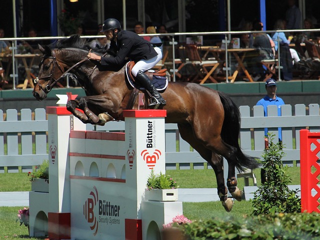 本文将从比 本文将从比