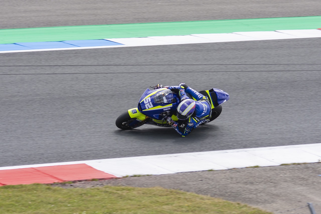 上海队主力 上海队主力