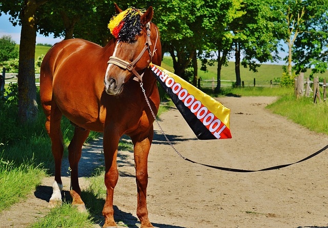 不同轮换阵 不同轮换阵