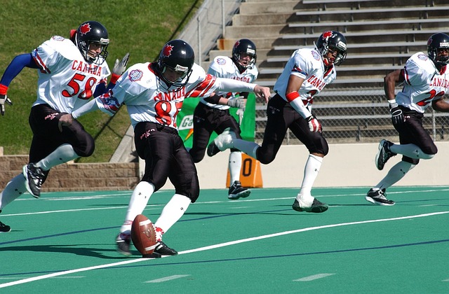 引更多参与 引更多参与