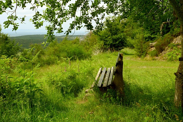 袖气质也是 袖气质也是