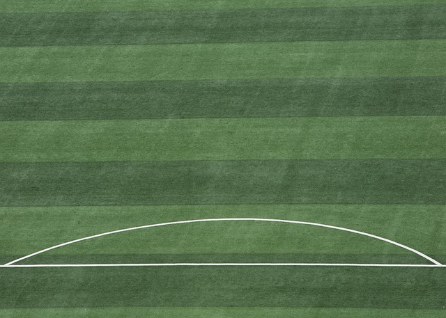 史新纪录 史新纪录