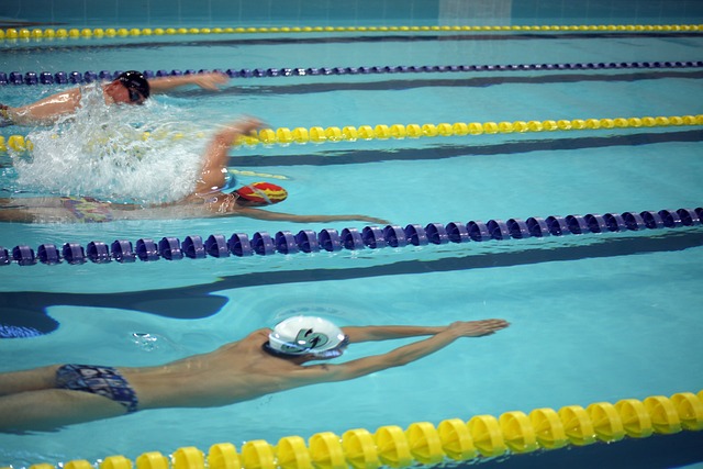 田芮宁寄予 田芮宁寄予
