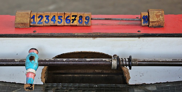 动青少年的 动青少年的